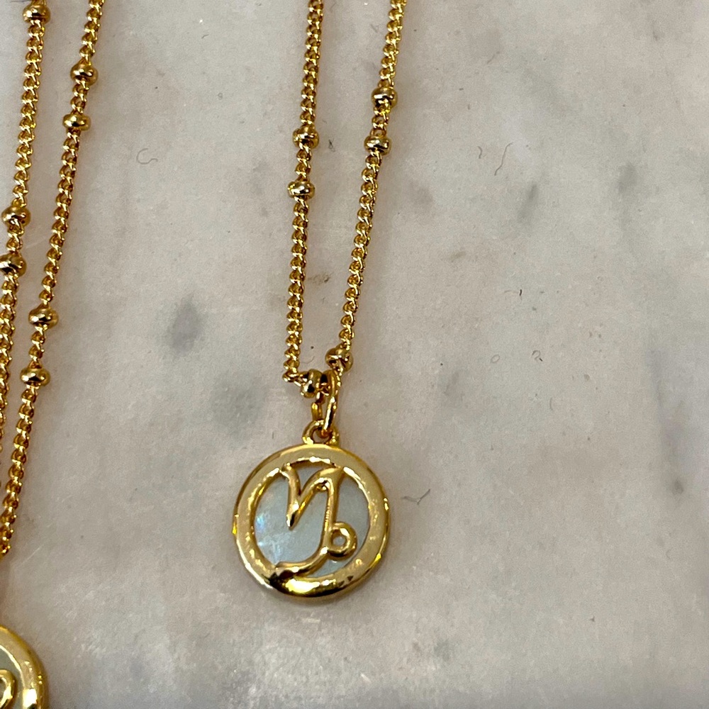 NWT Zodiac Capricorn necklace gift birthday December January